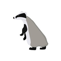 Badger Illustration