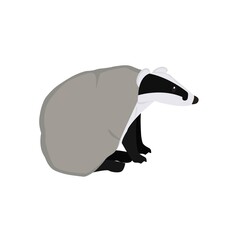 Badger Illustration