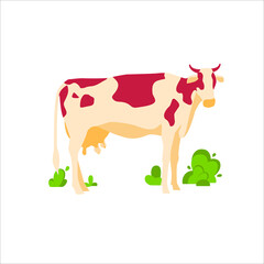 Spotted grazing cow dairy cattle. Domestic herbivorous animal, farm livestock. Agriculture and farming concept flat vector illustration isolated on white background