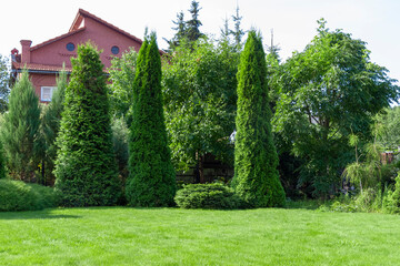 Landscaping of the backyard of a private house. Mowed lawn, decorative trees, flower beds.