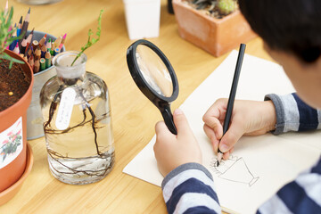 Closeup, Hand of little kid sketching and drawing cactus plants from his observation with magnifying glass, studying nature. Montessori, homeschool, self learning and child development concept.