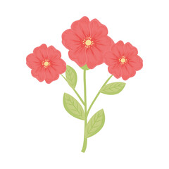 red flowers with leaves design, natural floral nature plant ornament garden decoration and botany theme Vector illustration