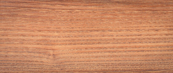 Wooden board as backdrop or background texture. Copy space for text