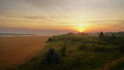 Colorful sunset over wheat field.