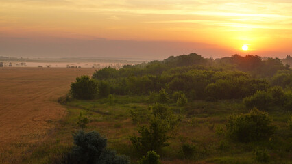 Colorful sunset over wheat field.
