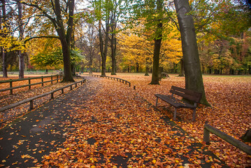 Obraz premium Park photographed in Cologne, Germany. Picture made in 2009.