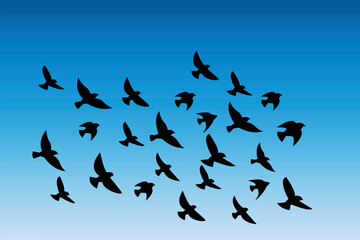 Vector silhouette of a flock of birds. Illustration of a flight of pigeons in the sky. Pattern of black geese in the clouds. Stock Photo.