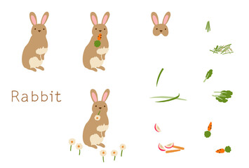 食事をするウサギ