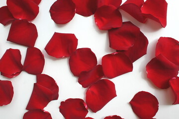 Texture of red rose petals scattered on the surface