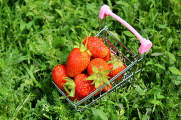 Decorative trolley filled with juicy strawberries standing in the grass