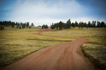 Fototapeta na wymiar Winding dirt road in Montana