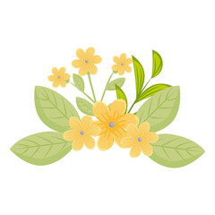 yellow flowers with leaves design, natural floral nature plant ornament garden decoration and botany theme Vector illustration