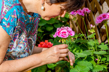 Obraz na płótnie Canvas woman takes care of the flowers in the garden of her house