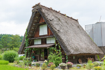 Fototapeta na wymiar Gassho-zukuri houses at Ogimachi Village in Shirakawago, Gifu, Japan. It is part of UNESCO World Heritage Site - Historic Villages of Shirakawa-go and Gokayama.
