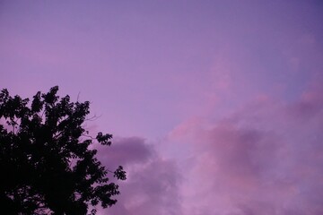 Pink a purple Georgia sky 