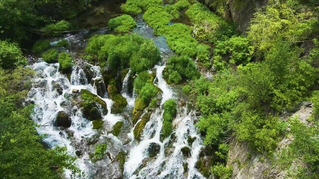 Aerial tilt down shot of Roughlock Falls' rushing water in Spearfish Canyon, South Dakota. Showcasing beautiful green summer leaves and the fast moving water of Spearfish.