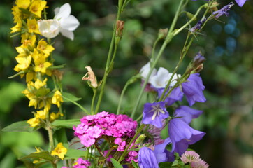 beautiful bouquet of bright flowers on a meadow against a background of green foliage