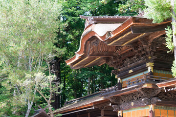 Fototapeta na wymiar Suwa-taisha (Suwa Grand Shrine) Shimosha Akimiya in Shimosuwa, Nagano Prefecture, Japan. Suwa Taisha shrine is one of the oldest shrine built in 6-7th century.