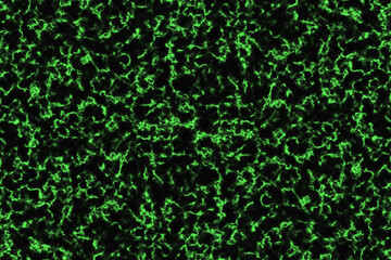 green radiation glow and dark marble luxury interior