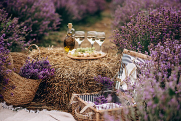 Summer picnic in the lavender field. Glasses of wine, a picnic basket, snacks and bouquets of...