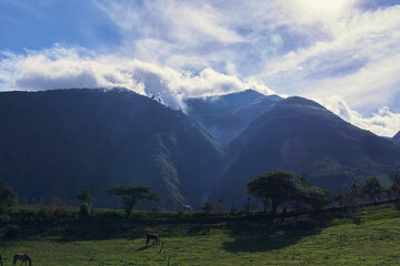 sunny mountains landscape with haze, clouds and horses