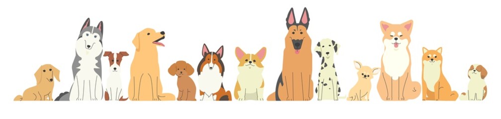 横に一列に並んでいる色々な種類の犬たち