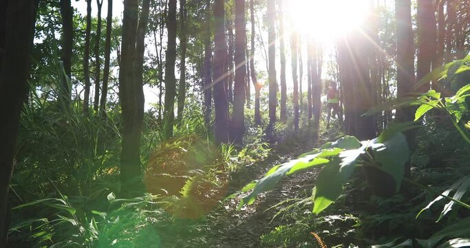 Young woman trail runner running in sunrise tropical forest