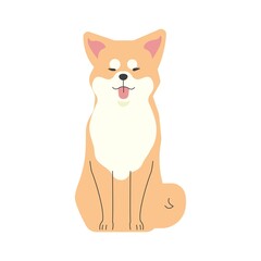 おすわりをしている１匹の秋田犬