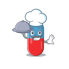 mascot character style of pills drug chef serving dinner on tray