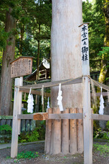Fototapeta premium Onbashira at Suwa-taisha (Suwa Grand Shrine) Kamisha Honmiya in Suwa, Nagano Prefecture, Japan. Suwa Taisha is one of the oldest shrine built in 6-7th century.