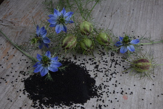 Black cumin (nigella sativa or kalonji) seeds in heart-shaped bowl on wooden background