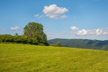 Countryside at high noon. Rural scenery with trees and fields on the rolling hills at the foot of the ridge.
