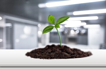 Agriculture.