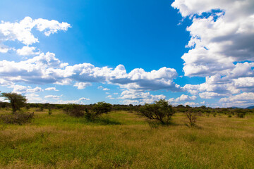 Fototapeta na wymiar African landscape with cumulus clouds and blue sky in Kruger National Park, South Africa