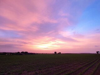 Naklejka na ściany i meble Beautiful sunset in my farm and beautiful sky