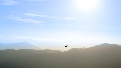the freedom to fly