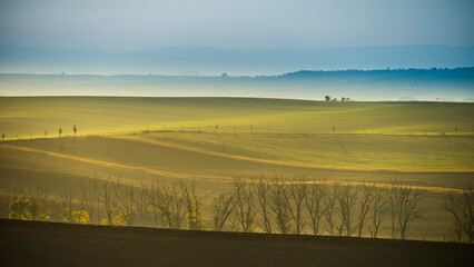 Rolling hills scenery in the early morning Moravia, Czech