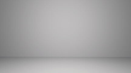 Room space background. Front view of empty room with soft light illumination. 3d interior rendering.