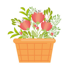 red flowers with leaves inside basket design, natural floral nature plant ornament garden decoration and botany theme Vector illustration
