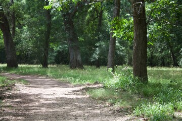 Brazos Bend State Park
