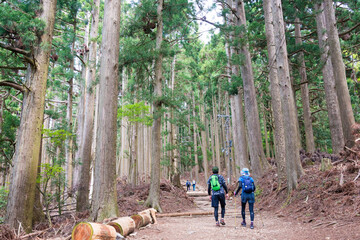 Approach to Atago Shrine on Mt. Atago in Kyoto, Japan. Atago Shrine is a Shinto shrine on Mount Atago, the northwest of Kyoto, Japan.