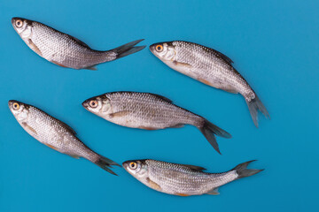River fish . Fresh fish in the market. View from above. Copy space