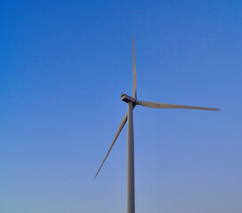 wind generators generate energy against the sky