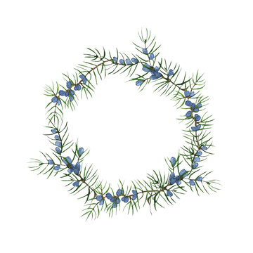 Round frame of juniper and blue berries isolated on white background. Watercolor hand drawing illustration of wreath branch of juniper. Perfect for design of medicine or aromatic product.