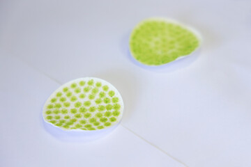 Filter paper and suction method for determination waste water sample analysis the total solids experiment in laboratory.