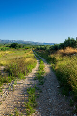 Fototapeta na wymiar Landscape of the august way as it passes through Castellon