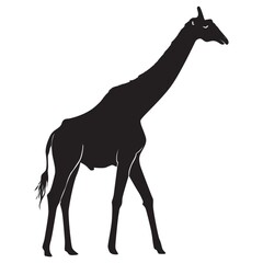 silhouette of giraffe