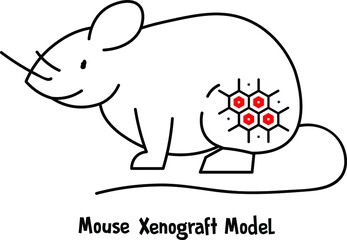Hand drawn illustration of mouse xenograft model showing cancer cells