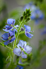 Image with Veronica.