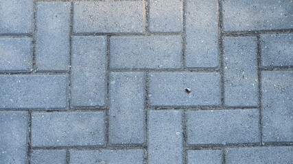 rectangular paving